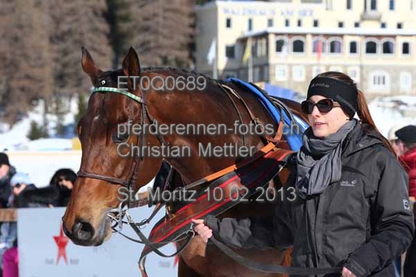 ET0Q0689 prot